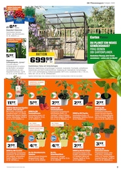 Aktueller OBI Prospekt mit Paprika, "FÜRS PFLANZEN GEMACHT.", Seite 9