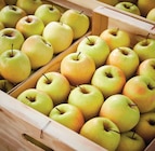 Pommes golden delicious - Netto Pommes golden delicious à 2,95 € dans le catalogue Netto