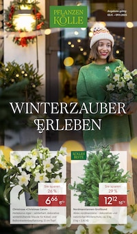 Pflanzen Kölle Fellbach Prospekt "WINTERZAUBER ERLEBEN" mit 20 Seiten