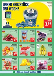 Äpfel im Marktkauf Prospekt in Hof Aktueller Marktkauf Prospekt mit Äpfel, "AUSWAHL RIESIG, PREISE NIEDRIG", Seite 8