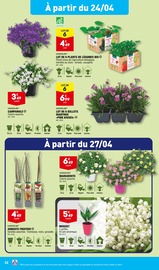 Promos Fleurs d'extérieur dans le catalogue "LE BON GOÛT DU 100% LOCAL" de Aldi à la page 24