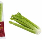 EDEKA Telgte - Staudensellerie Angebot im Prospekt Staudensellerie bei EDEKA im Telgte Prospekt für 2,22 €
