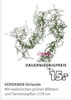 VERDANDE Girlande von  im aktuellen JYSK Prospekt für 15,00 €