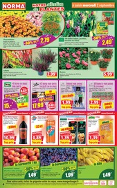 Café en promo dans le catalogue Norma à la page 4