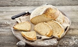 Aktuelle Brötchen Angebote bei EDEKA in Mannheim Aktuelles Gründerbrot Dinkel Angebot bei EDEKA in Mannheim ab 3,30 €
