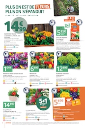 Offre Arbuste dans le catalogue Jardiland du moment à la page 2