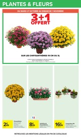 Promos Chrysanthèmes dans le catalogue "Carrefour" de Carrefour Chrysanthèmes en promo dans le catalogue Carrefour à la page 29