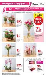 Prospectus Hyper U "20 JOURS PLUS" en cours à Périgueux, Page 25 Catalogue Hyper U en cours à Périgueux, "20 JOURS PLUS", Page 25
