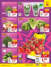 Ähnliche Sauerkraut Angebote im Prospekt "Aktuelle Angebote" von Netto Marken-Discount in Rottenburg Ähnliche Angebote wie Sauerkraut im Prospekt "Aktuelle Angebote" auf Seite 7 von Netto Marken-Discount in Rottenburg