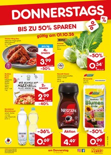 Erdbeeren im aktuellen Netto Marken-Discount Prospekt (Bochum) Erdbeeren im Netto Marken-Discount Prospekt "Aktuelle Angebote" mit 71 Seiten (Bochum)