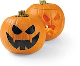 Speisekürbis Halloween im Angebot bei Netto Marken-Discount in Hoyerswerda Speisekürbis Halloween Angebote bei Netto Marken-Discount Hoyerswerda für 4,99 €