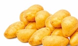 Netto mit dem Scottie - Speisekartoffeln Drillinge Angebot im Prospekt Speisekartoffeln Drillinge bei Netto mit dem Scottie im Prospekt "" für 1,59 €