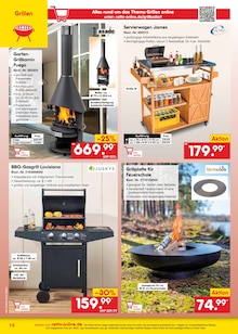Gasgrill im Netto Marken-Discount Prospekt "netto-online.de - Exklusive Angebote" mit 40 Seiten (Mainz)