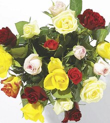 Bouquet De Fleurs dans le catalogue Géant Casino Bouquet de 20 Roses Arlequin à 5,00 € en promo chez Géant Casino