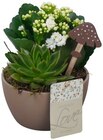 Waldino Angebote bei REWE Frankfurt für 8,88 €