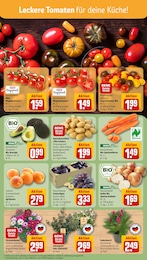 Blumen Angebot & Preis im aktuellen REWE Prospekt Blumen Angebot im aktuellen REWE Prospekt auf Seite 7