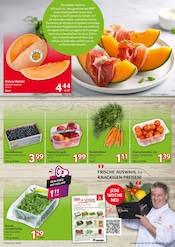 Aktueller Selgros Prospekt mit Tomaten, "HIER KAUFEN PROFIS & GENIESSER", Seite 3