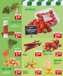 Erdbeeren im famila Nordost Prospekt "besser als gut!" mit 24 Seiten (Kiel)
