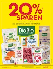 Fisch im Netto Marken-Discount Prospekt in Altenburg Aktueller Netto Marken-Discount Prospekt mit Fisch, "Aktuelle Angebote", Seite 17