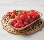 Framboise dans le catalogue U Express