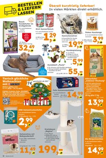 Katzenstreu im aktuellen Globus-Baumarkt Prospekt (Karlsruhe) Katzenstreu im Globus-Baumarkt Prospekt "Immer eine Idee besser" mit 13 Seiten (Karlsruhe)