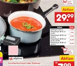 Stieltopf Angebote von alpine bei Netto Marken-Discount Lutherstadt Wittenberg für 7,99 €