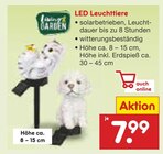 LED Leuchttiere im Angebot bei Netto Marken-Discount in Meerbusch LED Leuchttiere Angebote bei Netto Marken-Discount Meerbusch für 7,99 €