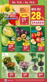 Kohle im ALDI Nord Prospekt in Dresden Aktueller ALDI Nord Prospekt mit Kohle, "Aktuelle Angebote", Seite 28