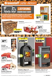 Aktueller OBI Prospekt mit Pellets, "BIBERSTARKE ANGEBOTE!", Seite 7