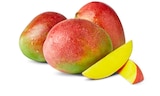 Penny Neuried - Mango Angebot im Prospekt Mango bei Penny im Neuried Prospekt für 0,79 €