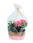 Muttertagskorb mit Hortensien und Rosen Angebote bei Marktkauf Hamburg für 12,99 €