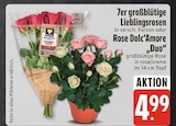 7er großblütige Lieblingsrosen im E center Prospekt 7er großblütige Lieblingsrosen von im aktuellen E center Prospekt für 4,99 €