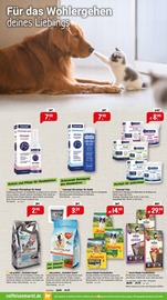 Hundezubehör im Raiffeisenmarkt Prospekt in Münster Aktueller Raiffeisenmarkt Prospekt mit Hundezubehör, "Richtig durchstarten: Mit den richtigen Angeboten ins neue Jahr.", Seite 3