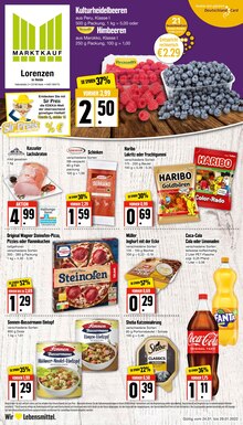 Marktkauf Prospekt für Wöhrden, Dithm mit 20 Seiten Marktkauf Prospekt für Wöhrden, Dithm: Top Angebote, 20 Seiten, 24.01.2022 - 29.01.2022