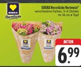Herzstücke Hortensie Angebote von EDEKA bei E center Amberg für 6,99 €