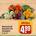 Blumenstrauß Ranunkeln mit Eukalyptus Angebote bei REWE Filderstadt für 4,99 €