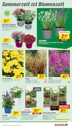 Topf Angebot & Preis im aktuellen toom Baumarkt Prospekt Topf Angebot im aktuellen toom Baumarkt Prospekt auf Seite 5
