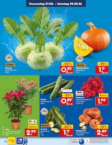 Pflanzen im aktuellen Netto Marken-Discount Prospekt (Mönchengladbach) Pflanzen im Netto Marken-Discount Prospekt "Aktuelle Angebote" mit 68 Seiten (Mönchengladbach)