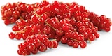 Deutsche Rote Johannisbeeren im Penny Prospekt Deutsche Rote Johannisbeeren von im aktuellen Penny Prospekt für 2,99 €