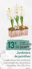 Promo Jardinière de jacinthes à 13,50 € dans le catalogue Botanic à Rueil-Malmaison