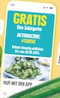 EDEKA Gerolzhofen - Salatgurke Angebot im Prospekt Salatgurke bei EDEKA im Gerolzhofen Prospekt für