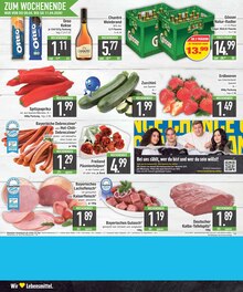 Tulpen im EDEKA Prospekt "Wir lieben Lebensmittel." mit 20 Seiten (Ingolstadt)