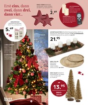 Weihnachtsbaum im buss Prospekt in Friesoythe Aktueller buss Prospekt mit Weihnachtsbaum, "VORFREUDE das schönste Gefühl", Seite 12