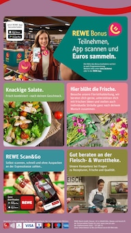 Aktueller REWE Prospekt