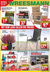 Pflanzen im Wreesmann Prospekt in Görlitz Aktueller Wreesmann Prospekt mit Pflanzen, "Aktuelle Angebote", Seite 1
