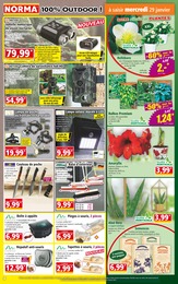 Offre Aménagement Extérieur dans le catalogue Norma du moment à la page 4