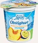 Netto Marken-Discount - Obstigjoghurt Angebot im Prospekt Obstigjoghurt bei Netto Marken-Discount im Prospekt "" für 0,29 €