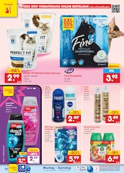 Steine im Netto Marken-Discount Prospekt in Nordhausen Aktueller Netto Marken-Discount Prospekt mit Steine, "Aktuelle Angebote", Seite 42