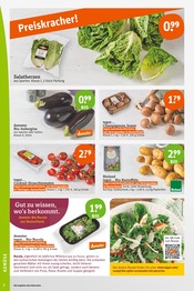 Ähnliche Angebote wie Sauerkraut im Prospekt "tegut… gute Lebensmittel" auf Seite 4 von tegut in Coburg