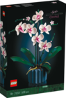 Aktuelles Orchidee Angebot bei Rossmann in Dortmund ab 39,99 €